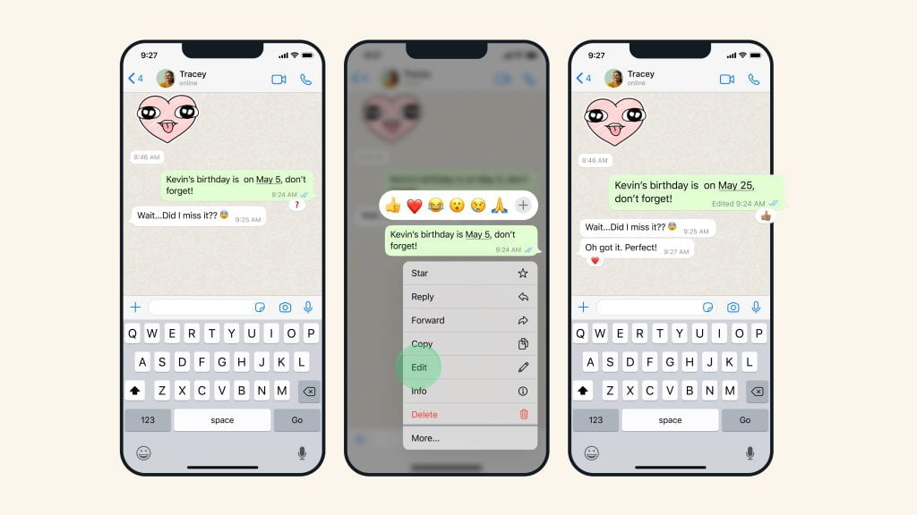 Edit Messages on WhatsApp Iphone