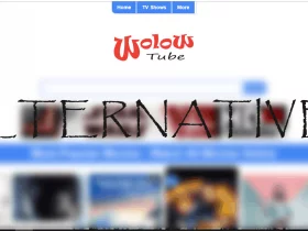 WolowTube