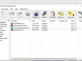 Internet Download Manager