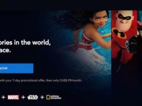 disable autoplay on Disney +
