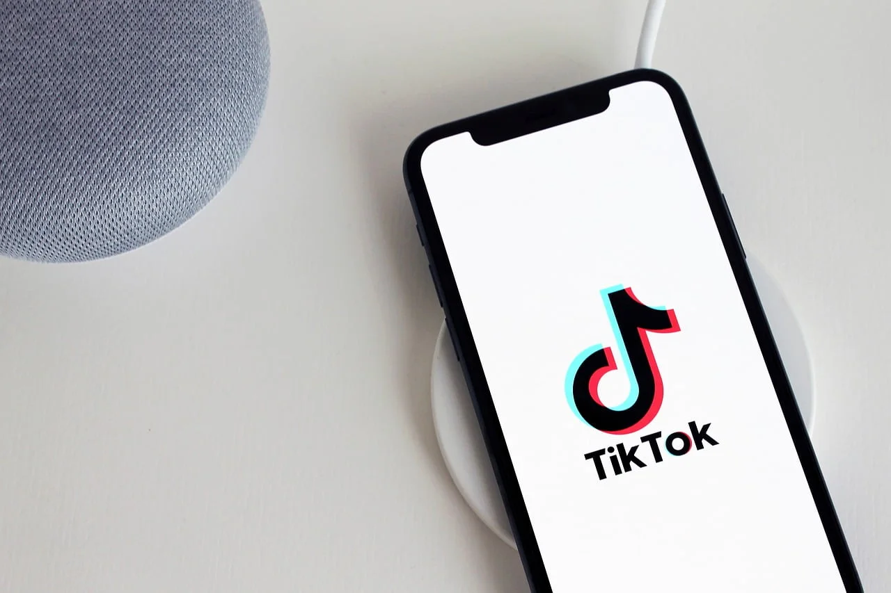 Remove TikTok Watermark