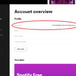 Change Spotify Username