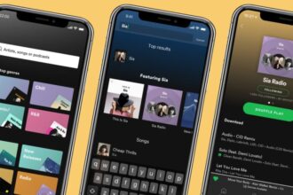 Migrate Your Spotify Library to Other Services