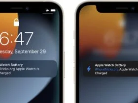 How to Get Apple Watch Battery Alerts on iPhone