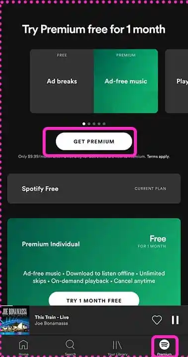 How to remove Spotify ads