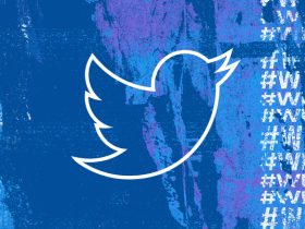 Twitter Promises to Reduce Reach and flag posts with hate speech