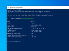 How to View PowerShell Version