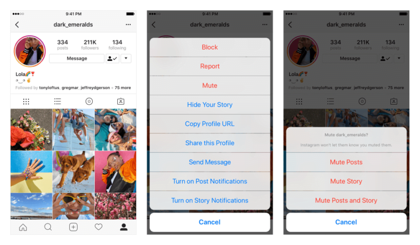 Mute Instagram Posts and Stories