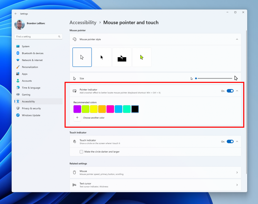 Settings displayed to activate the mouse pointer indicator