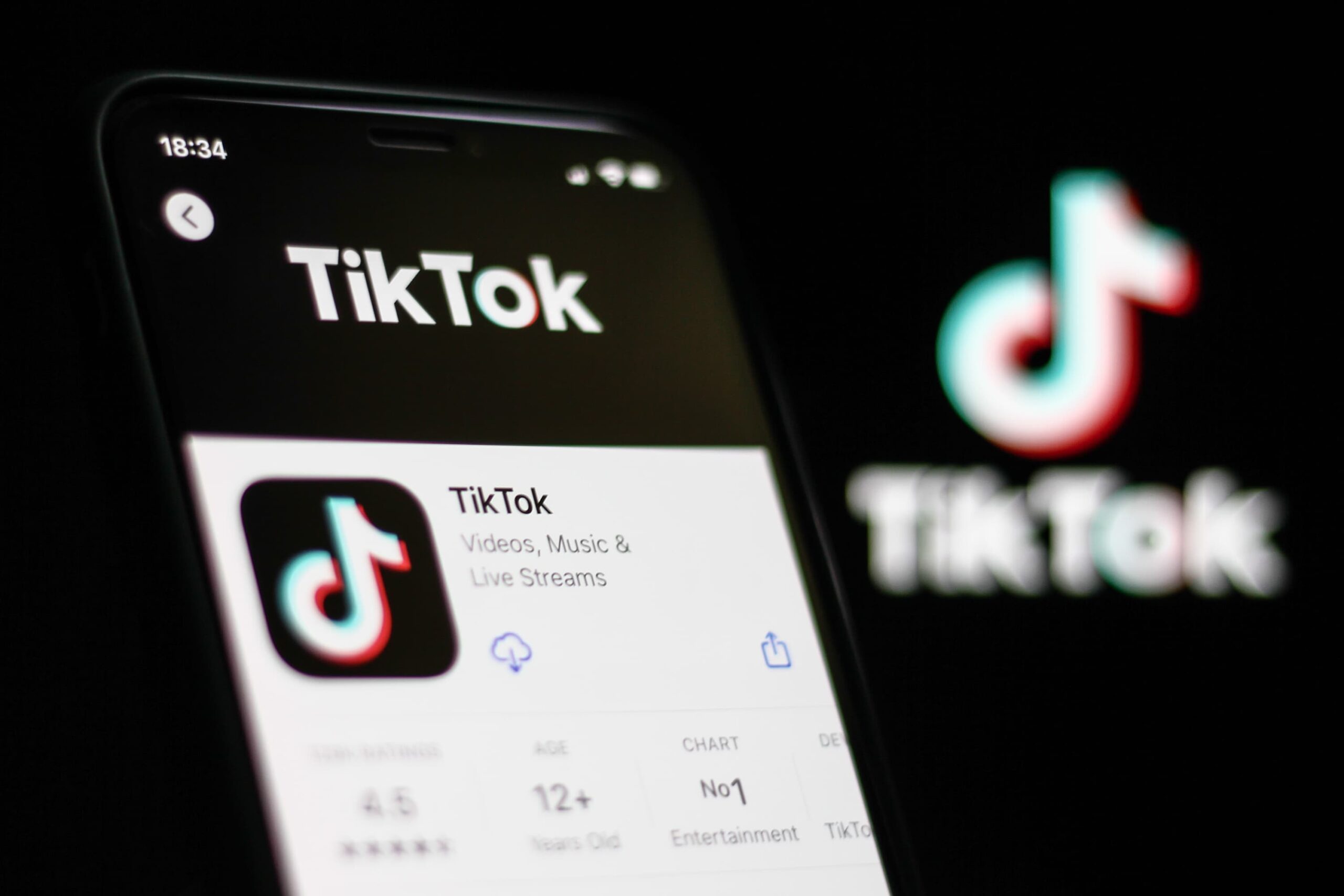 The Future Of Tiktok After The Vietbunny Leak - 67co9q3