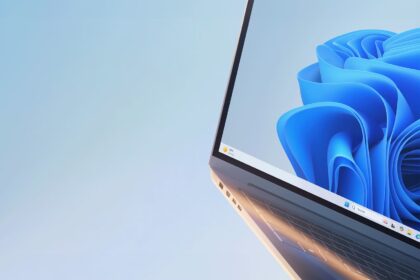 Windows 11 Patch (KB5058499)