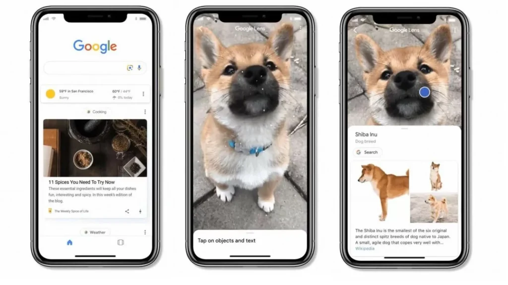 Object Recognition in google photo