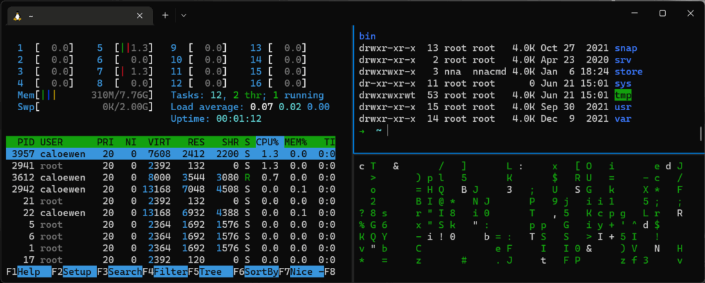 WSL 2 Linux as part of Windows