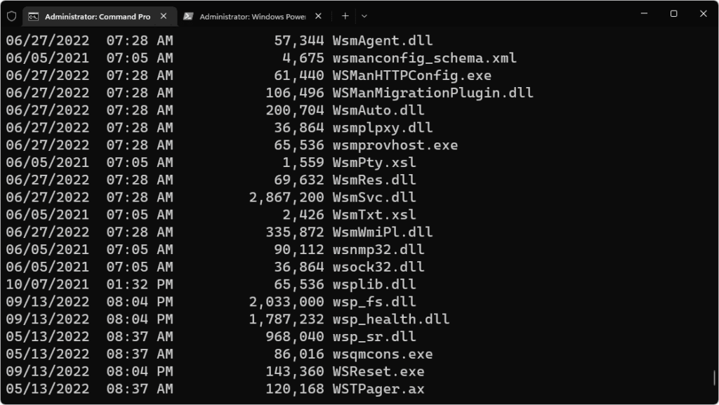 Windows Terminal
