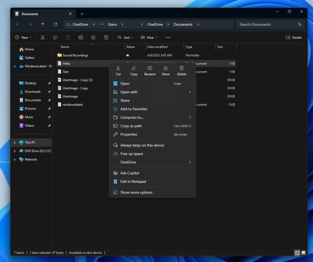 Image of the Windows 11 file explorer