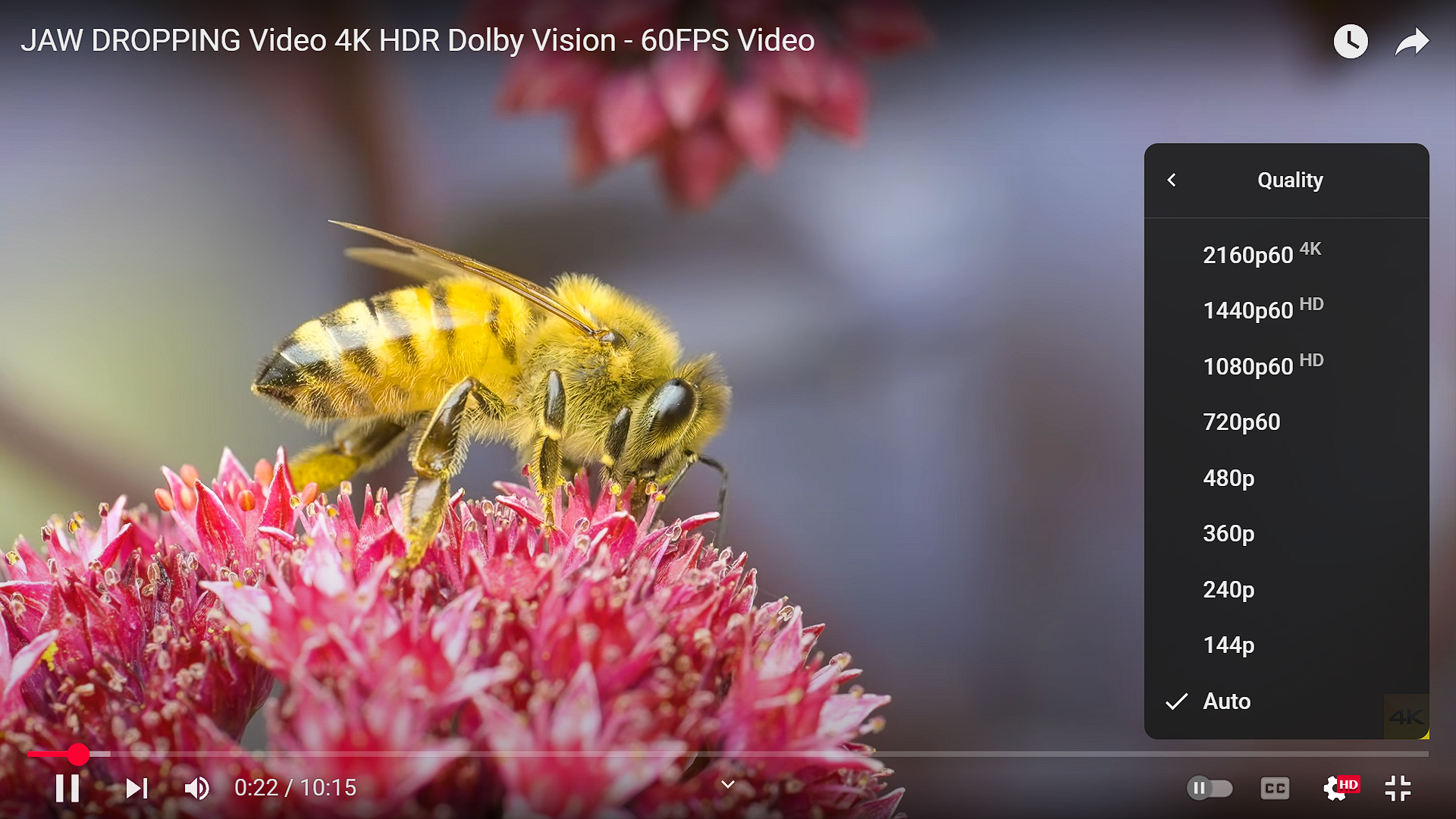 Youtube Quality Control