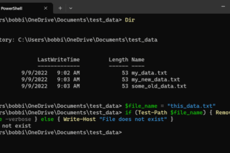 Delete File If Exists in Powershell Using Remove-Item