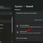 Mute One Specific App in Windows 11