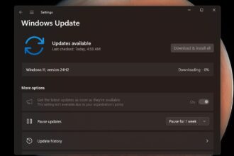 Windows 11 KB5065789 Update