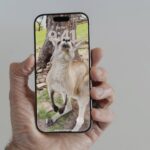 iOS 26 Brings Spatial Scenes to Your Photos and Lock Screen