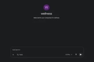 Google Gemini Adds Premade Wellness Gem and New Features