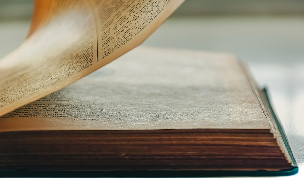 Book or Movie Reviews