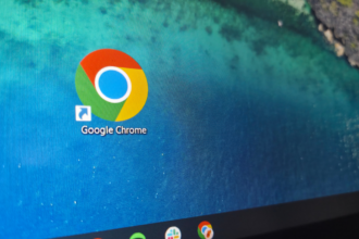 Remove 4GB google AI model