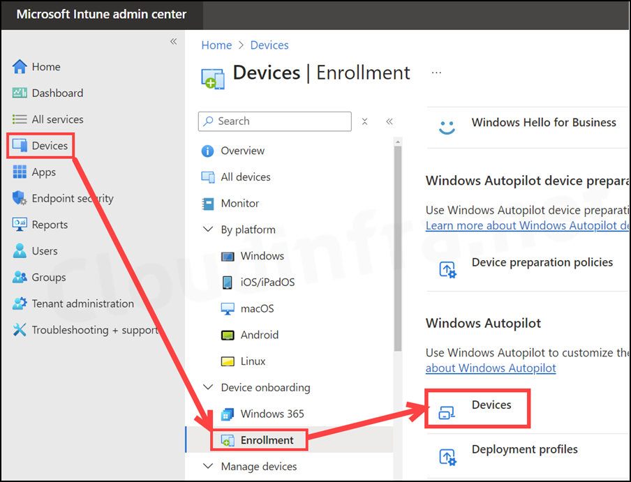 Remove the Device's Old Record from Microsoft Intune and Entra ID